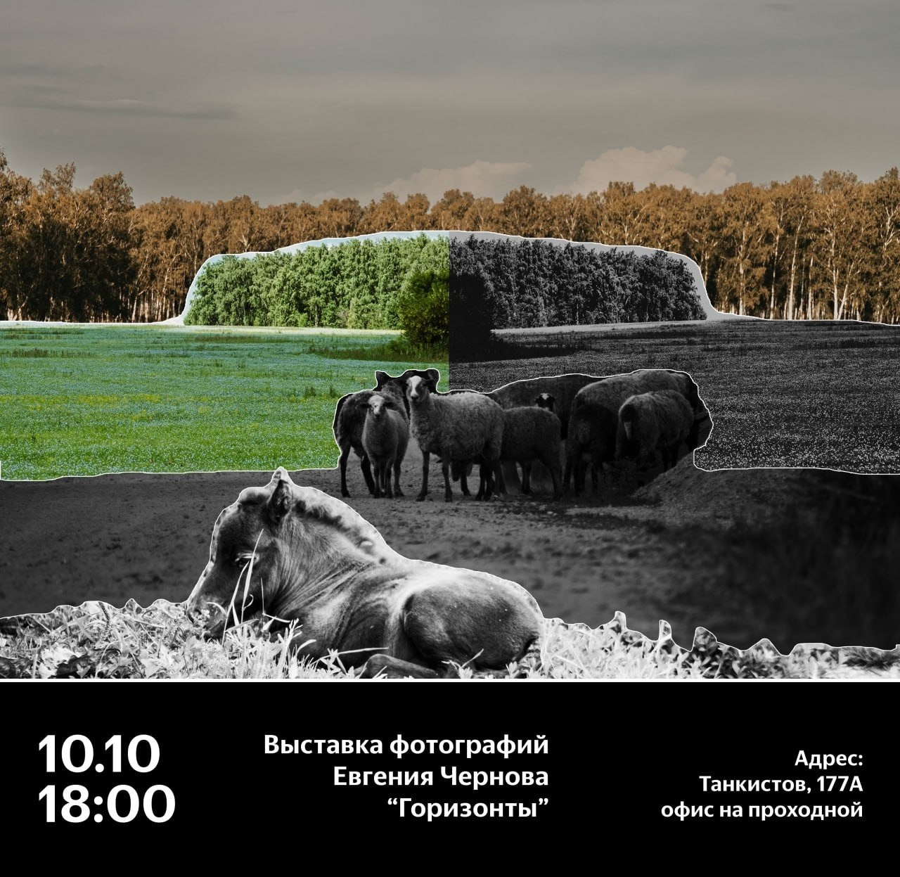 Exhibitions & Competitions. Whoii art