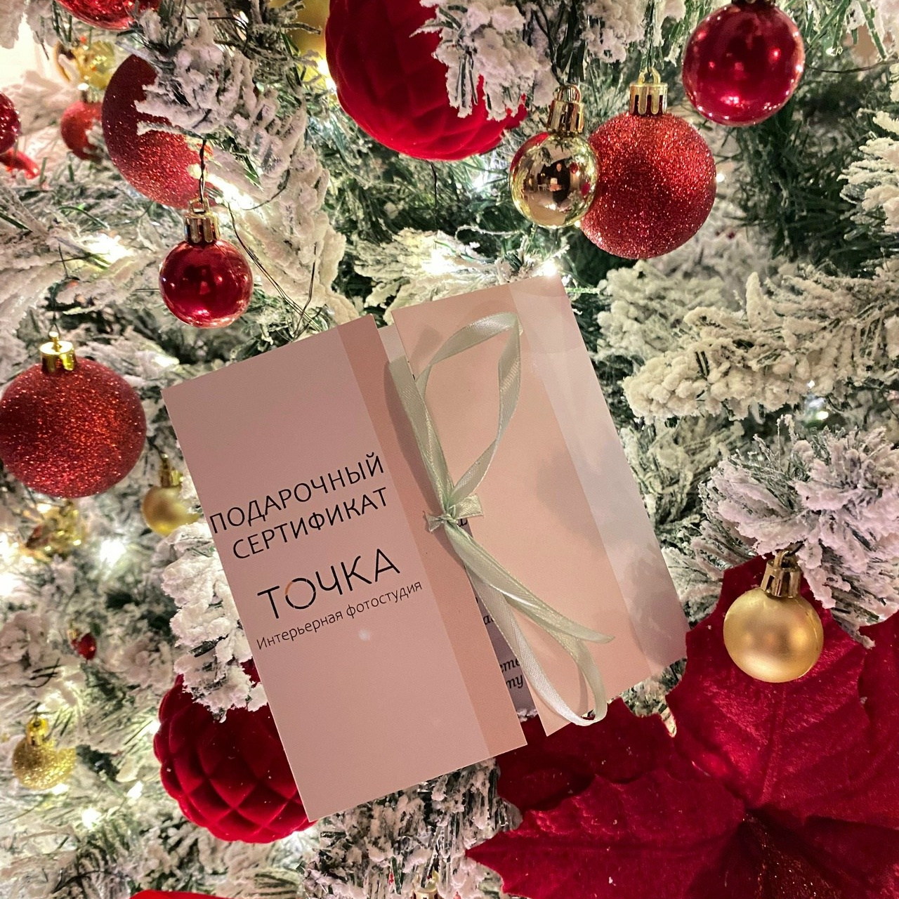 Фотосессии под ключ. Профессиональная фотостудия в Санкт-Петербурге «Точка»