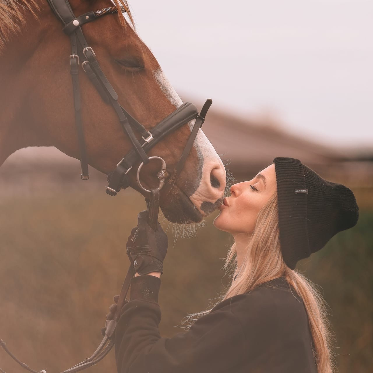 Стоимость. Фотосессии с лошадьми