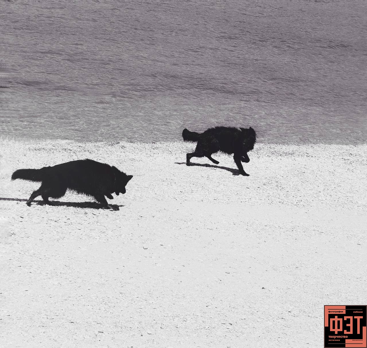 Альбом 10.05.25 в рамках ФЭТ