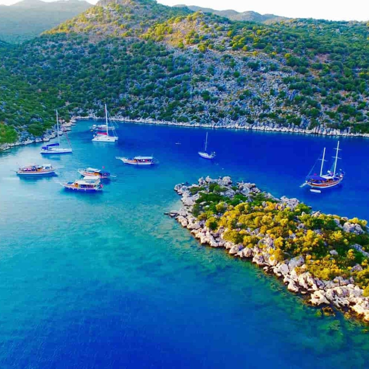 Круизы на яхте. Happy Sail Круизы на яхте с Михаилом Текучевым