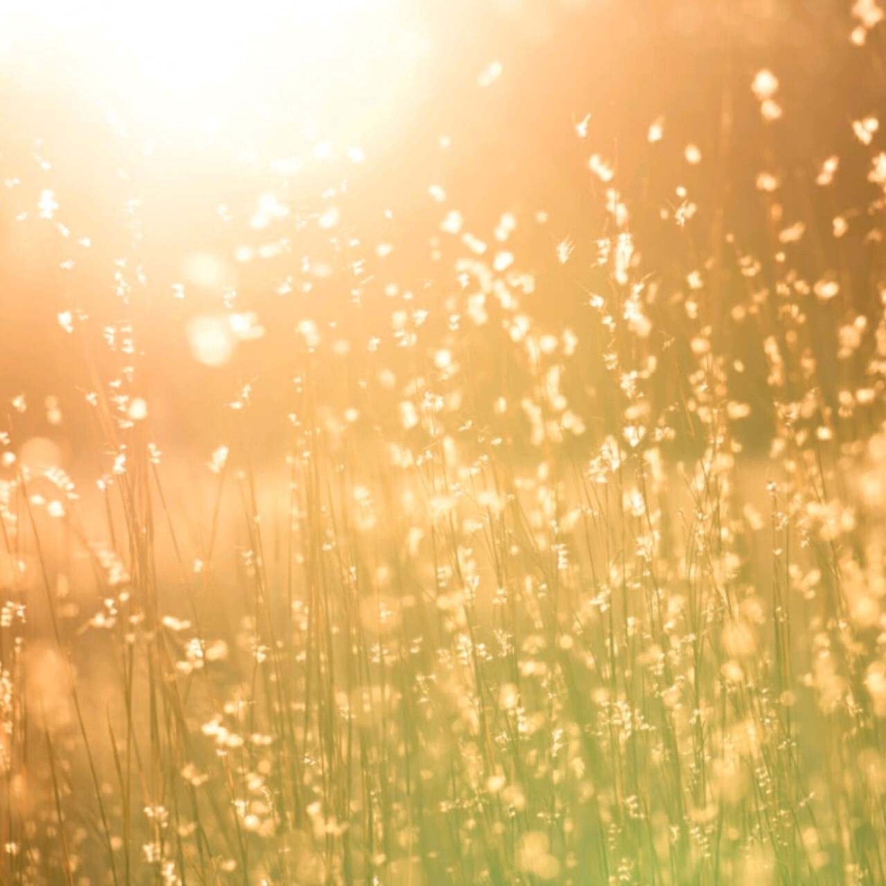 ПРАКТИКУМЫ. Энергопрактик Елена Ильюшина