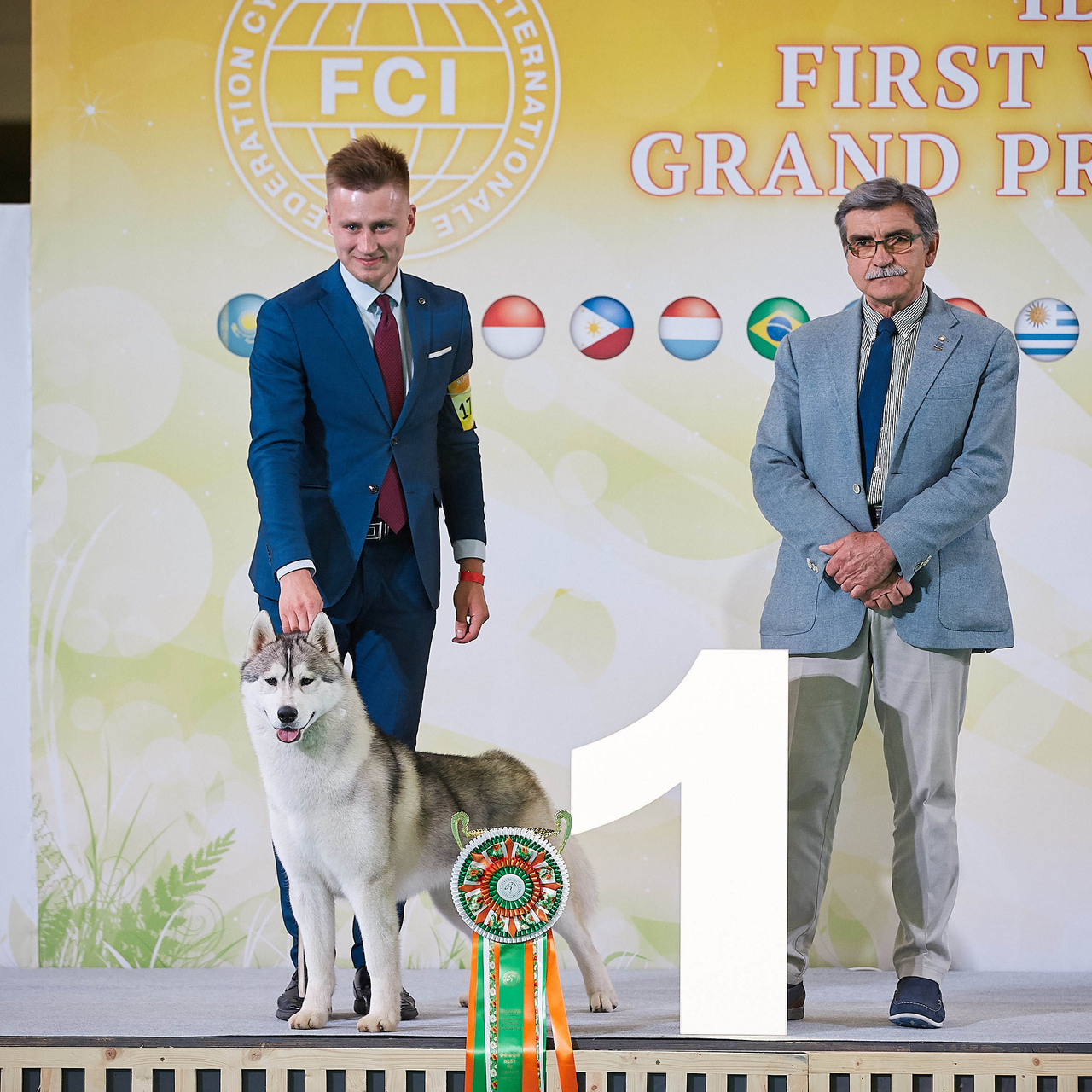 ФОТО ВЫСТАВКИ. ФОТОГРАФ-АНИМАЛИСТ l LANA POLYAKOVA