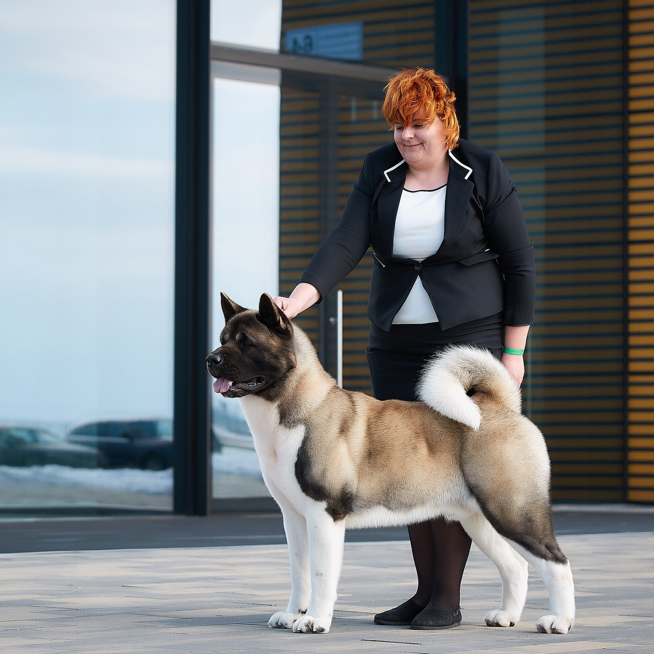 ФОТО. ФОТОГРАФ-АНИМАЛИСТ l LANA POLYAKOVA