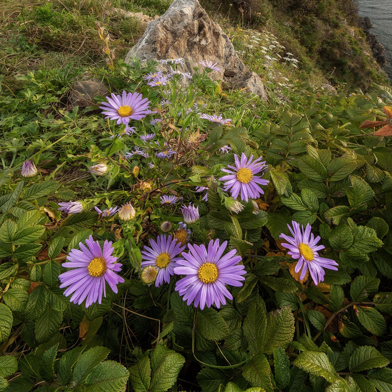 Фототур по Приморью. Фототуры и обучение пейзажной фотографии