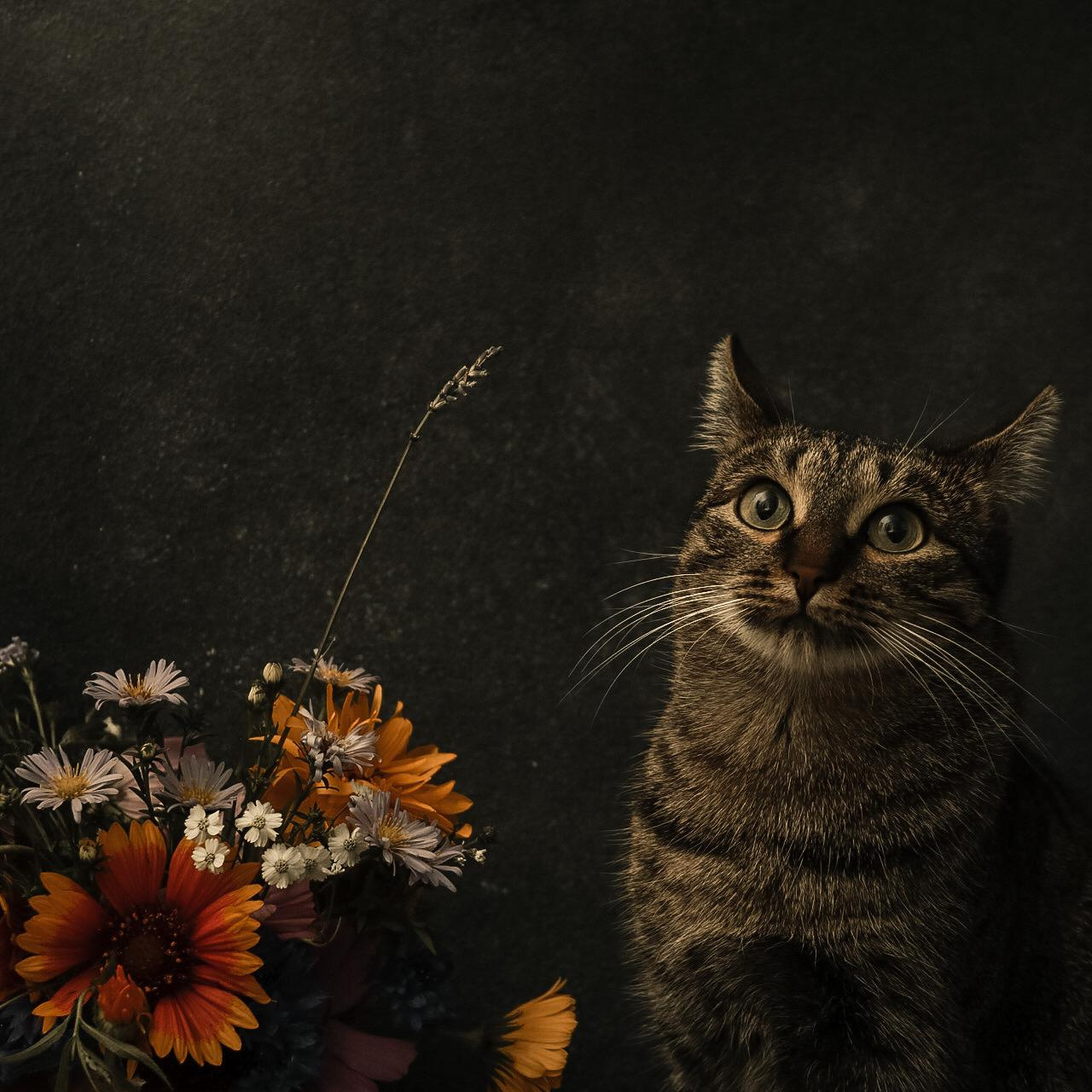 Услуги. Danna Dark. Фотограф | Красноярск