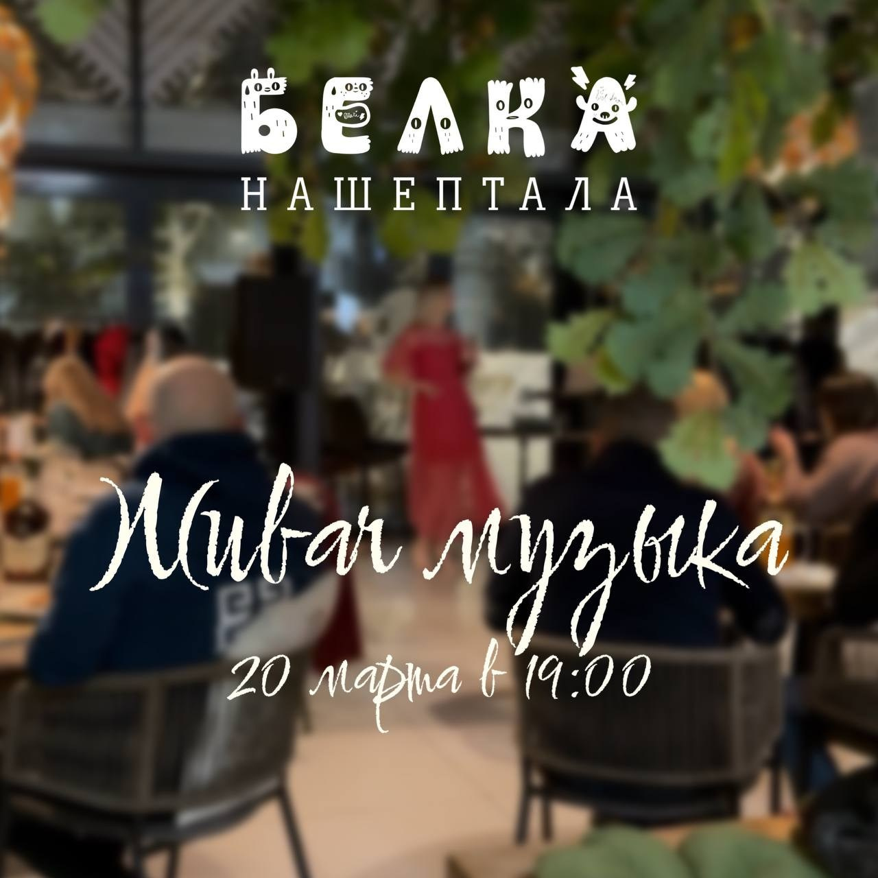 Кафе «БЕЛКА НАШЕПТАЛА». Ну оооочень концептуальное кафе