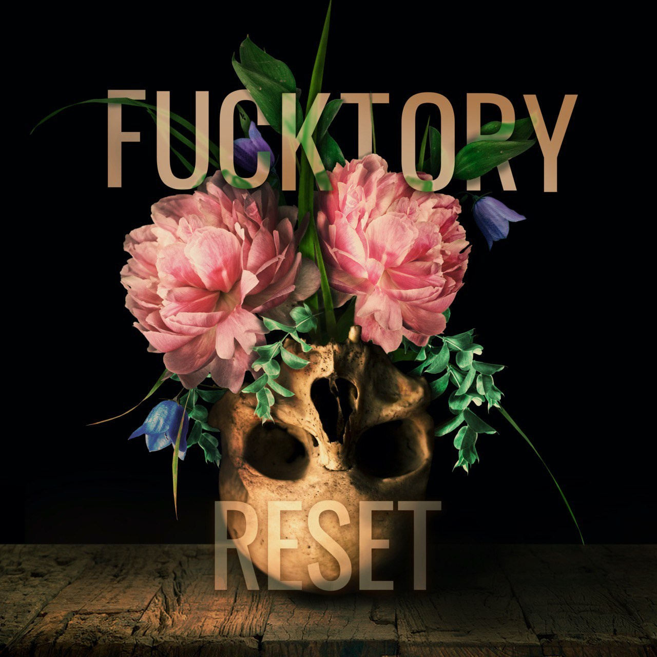 АРТ. Фотограф Елена Богачева (lenalena_na_na_na)