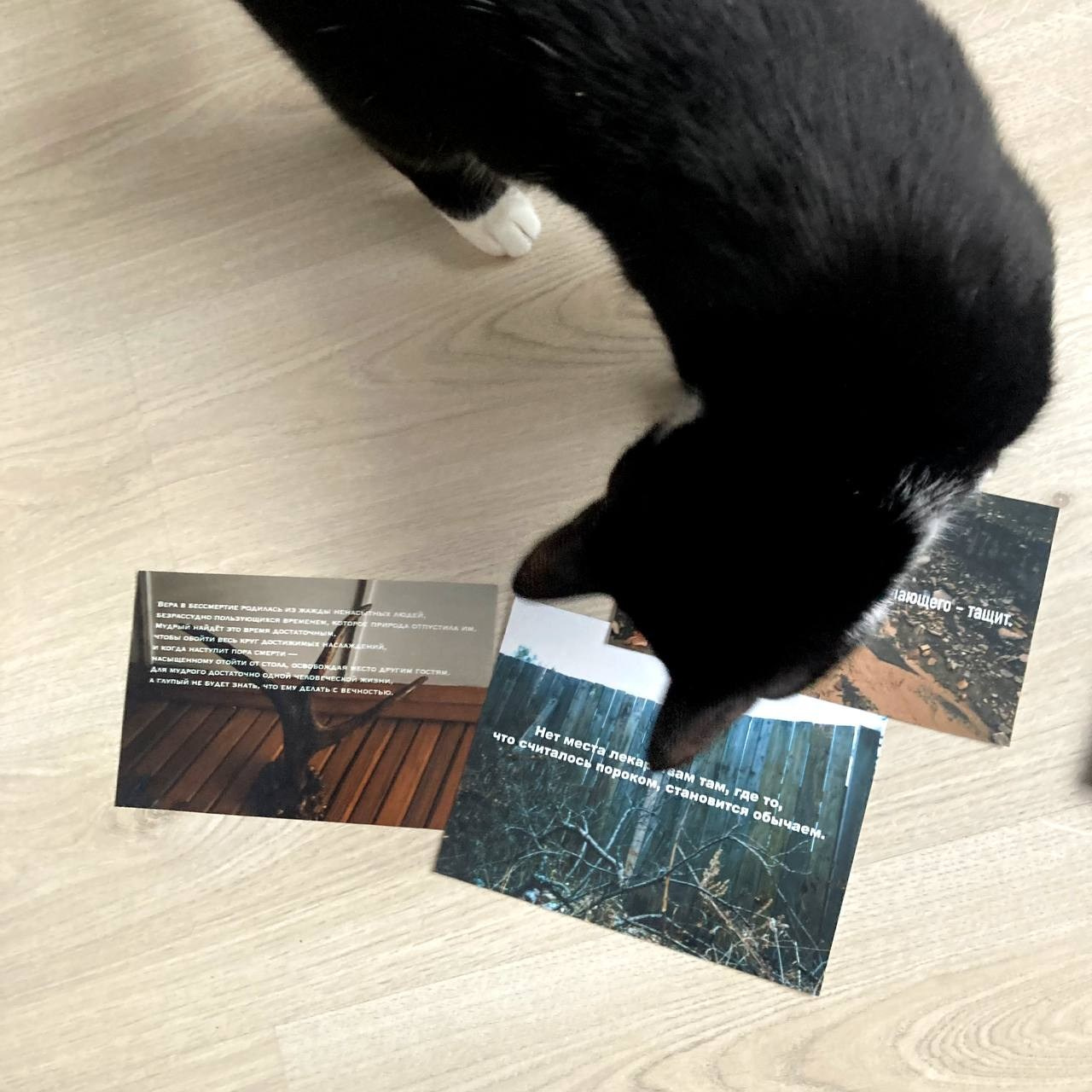 Проект «манифест». Izma photos