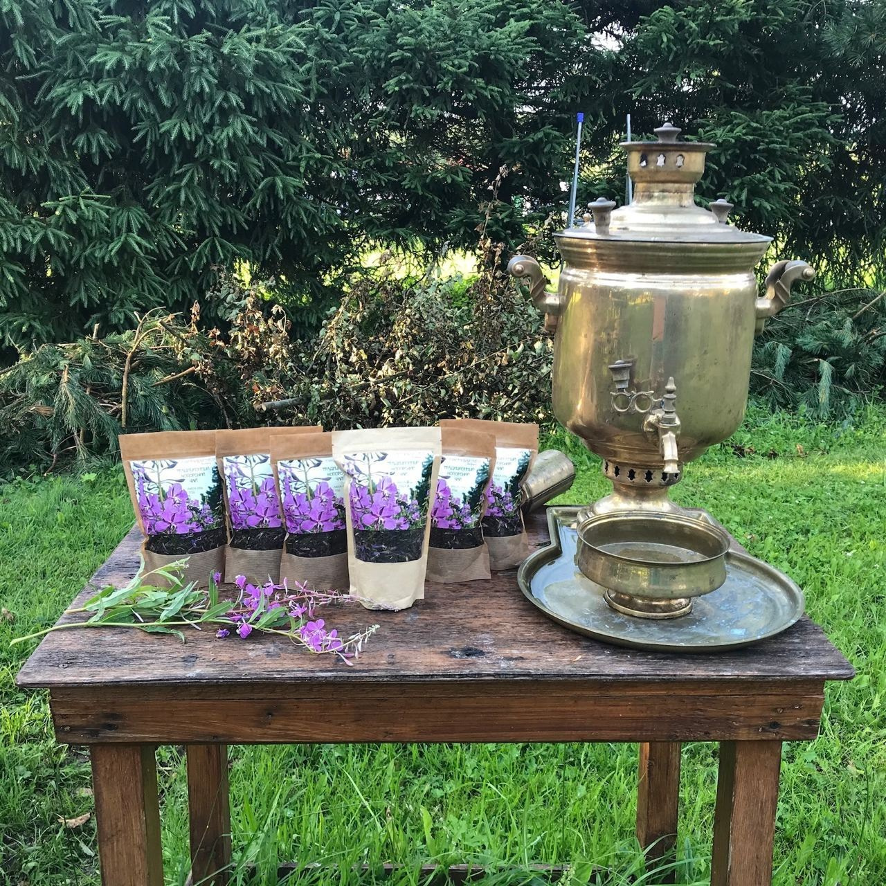 Копорский чай купить. Эко отдых в Подмосковье в эко-отеле Марии Гиппенрейтер