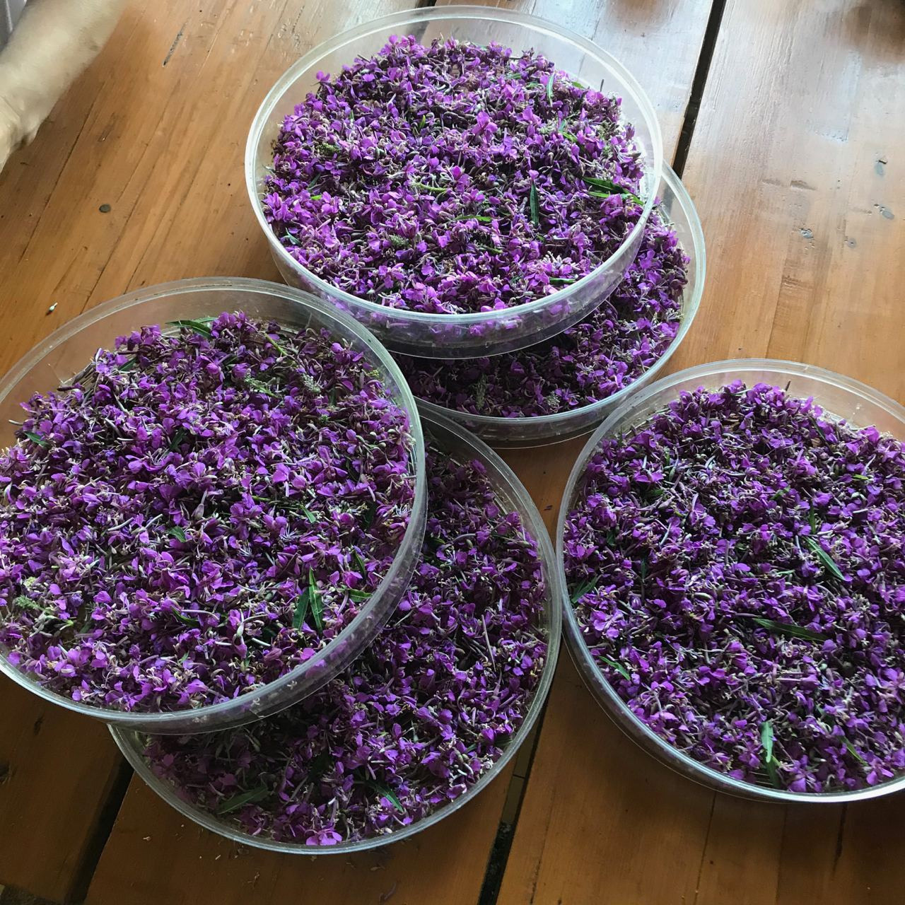 Экопродукция в Подмосковье. Эко отдых в Подмосковье в эко-отеле Марии Гиппенрейтер