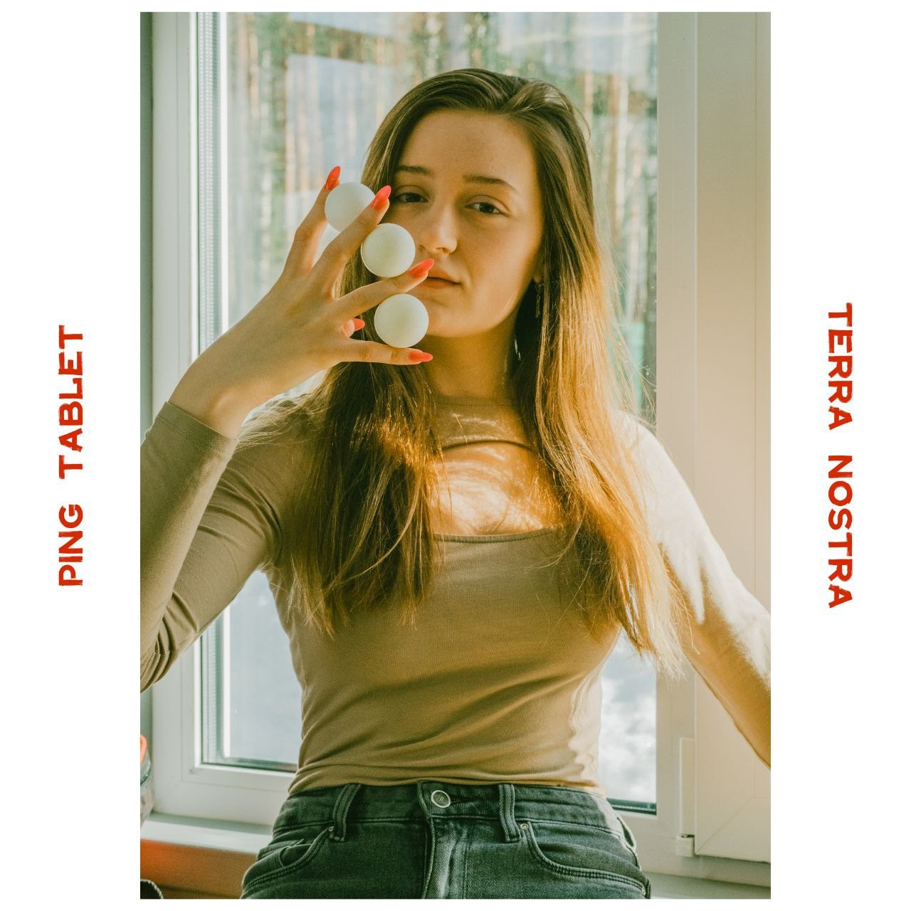 Проект Ping Tablet x Terra Nostra. -