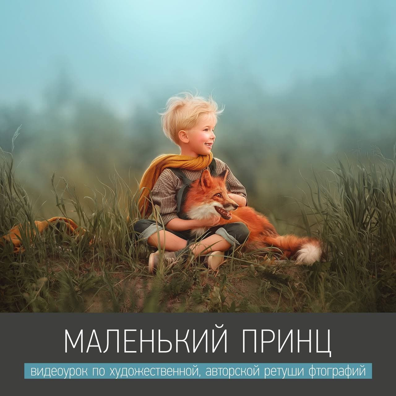 Урок «МАЛЕНЬКИЙ ПРИНЦ». Фотохудожник Анна Гис