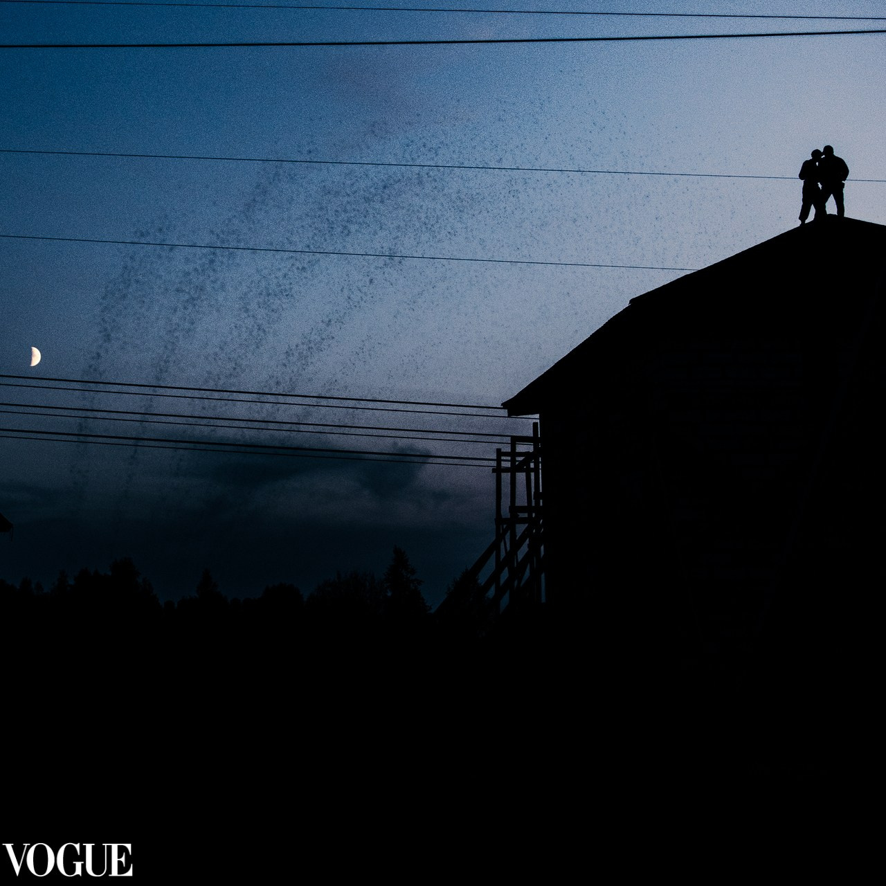 About me. Photos of you and your pet