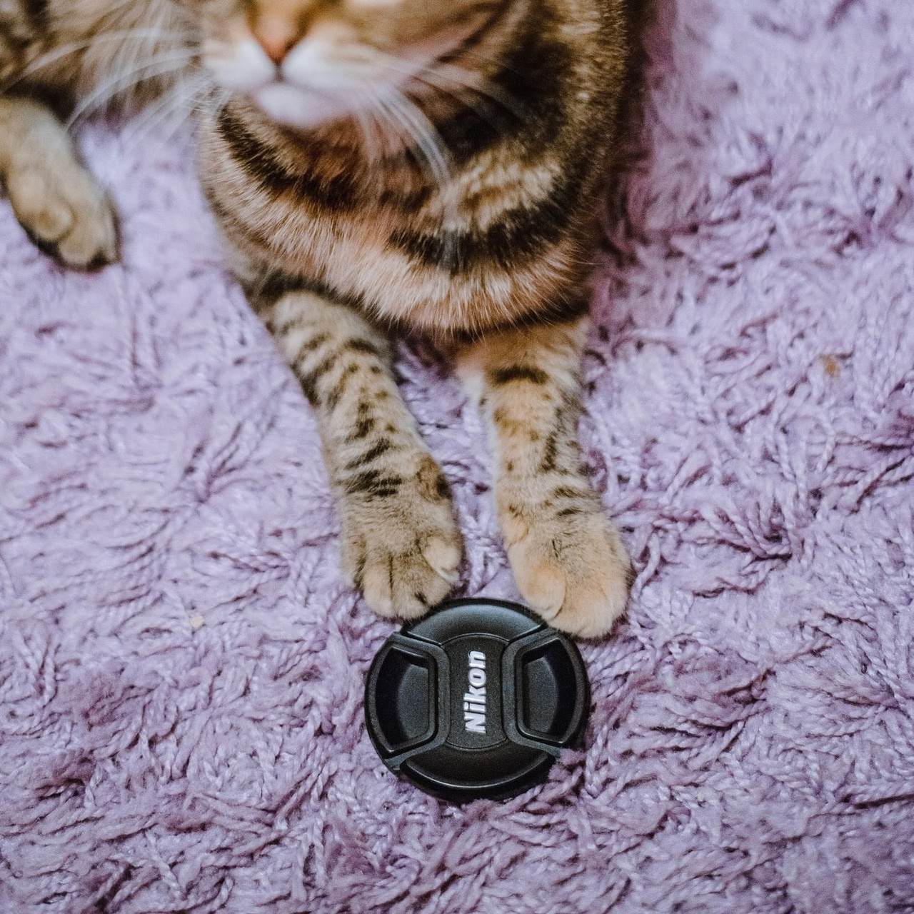 Новогодние подарочные сертификаты 2021/2022. Фотограф Лопаткина Ирина