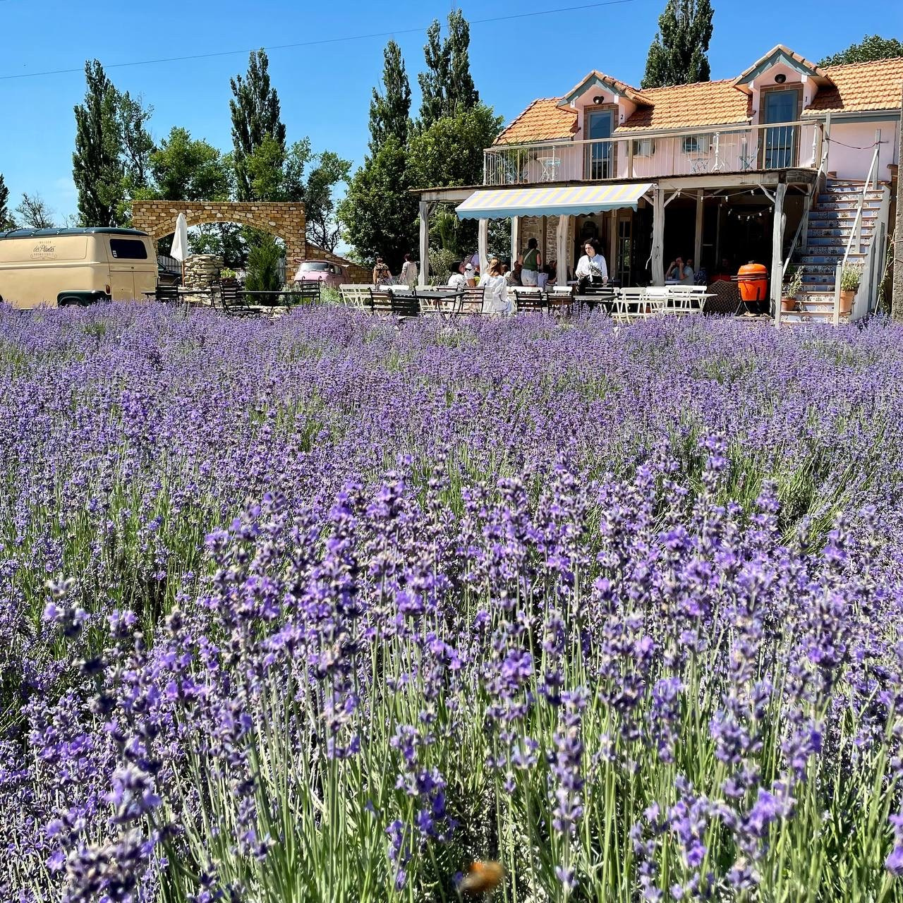 Агро Земельный массив Неберджаевская. Инвестиционный консалтинг Недвижимость