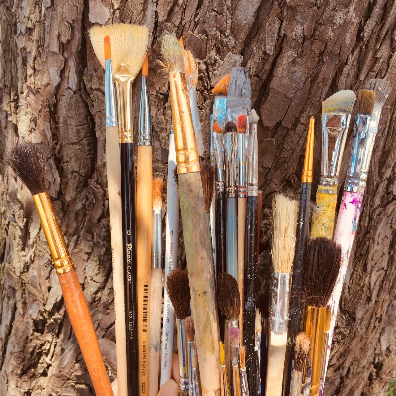 Контакты. Главная