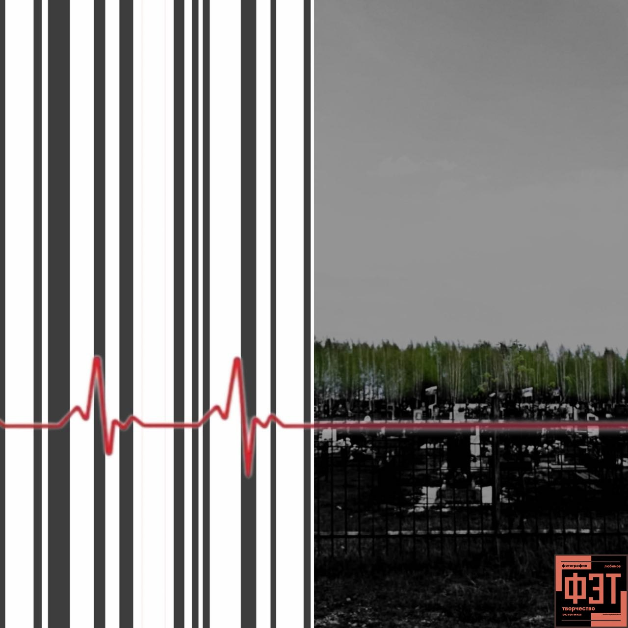 Альбом 24.05.2026 в рамках ФЭТ