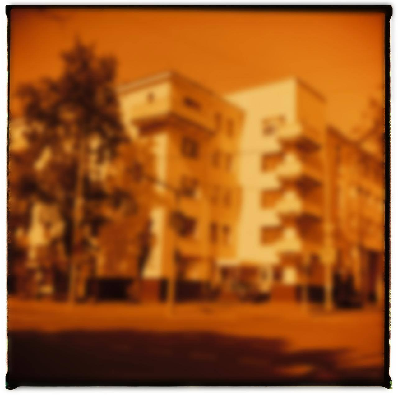 Аллигаторы. Elena Anosova is an award-winning visual artist