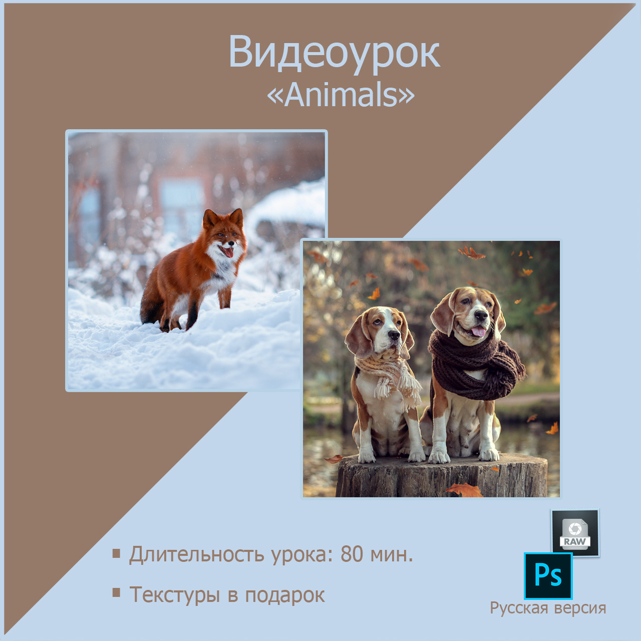 Уроки. Детский и семейный фотограф в Санкт-Петербурге Мария Господинова