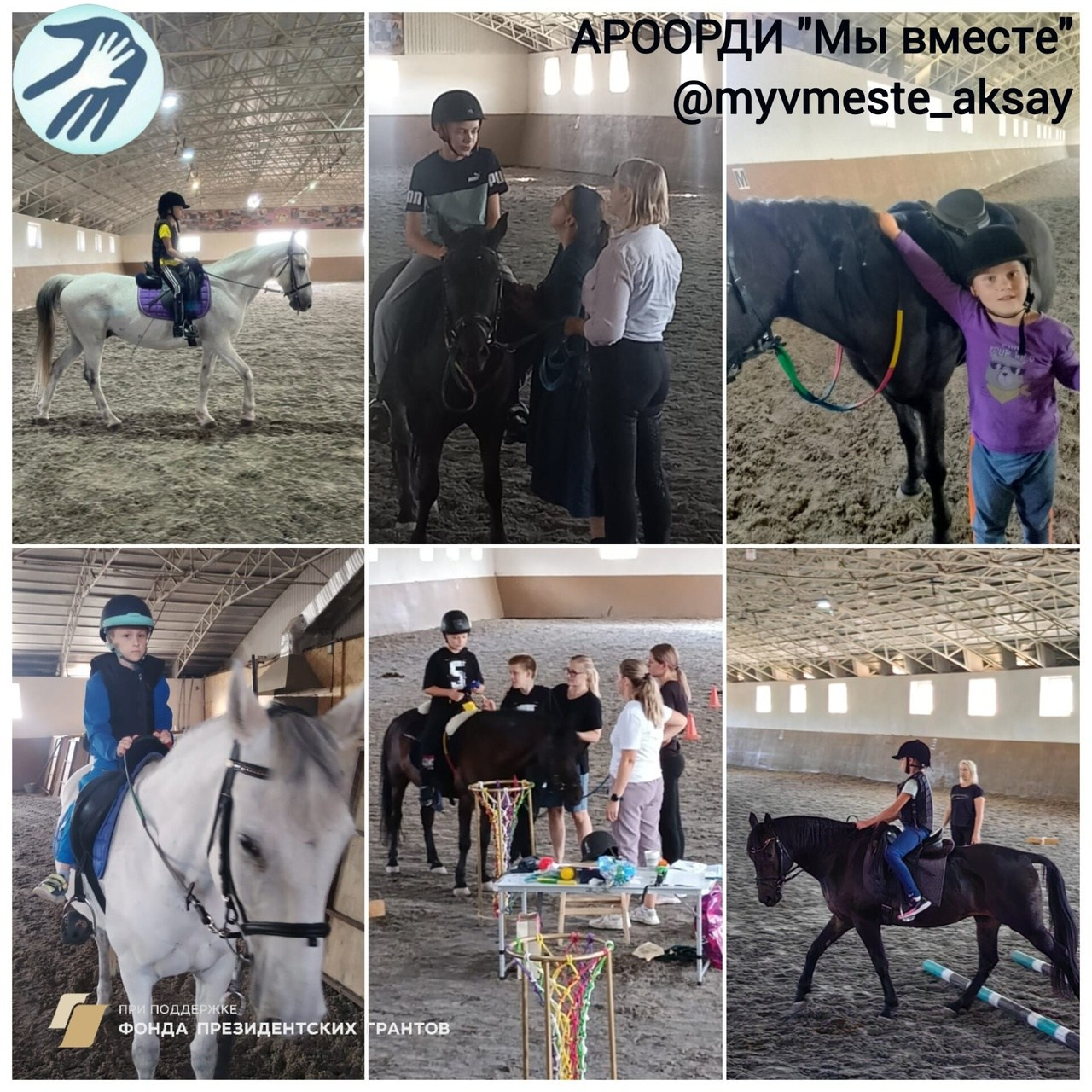 Грантовый проект «Иппопогружение»