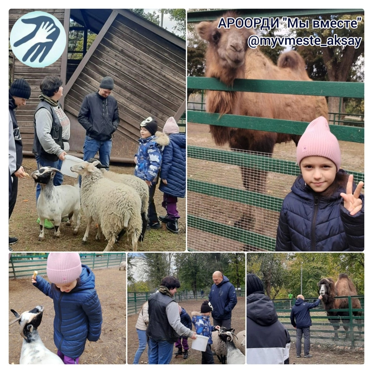 Ростовский зоопарк осенью