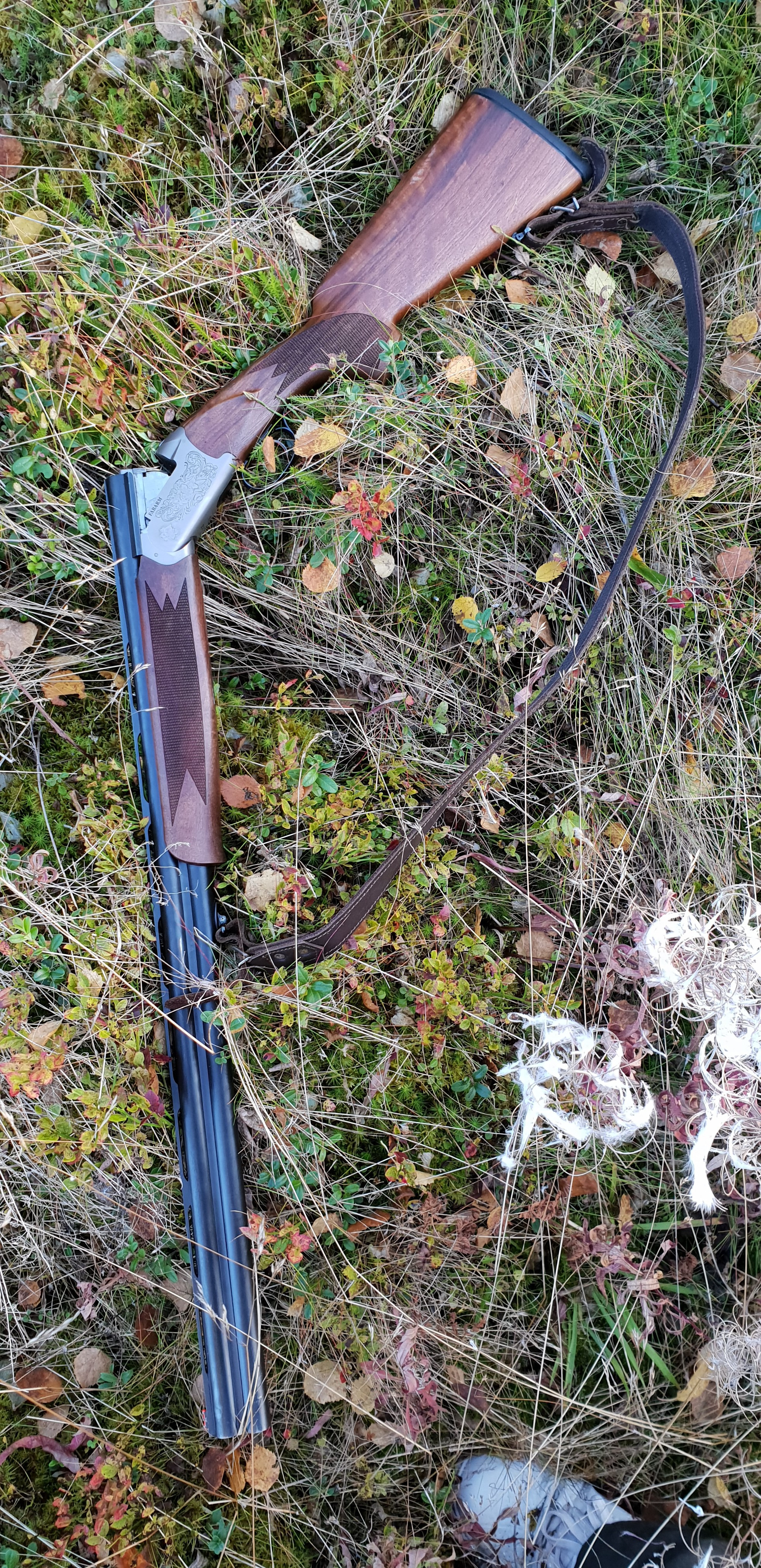 2018 — Незабываемая Карелия, Зашеек. OneSnap