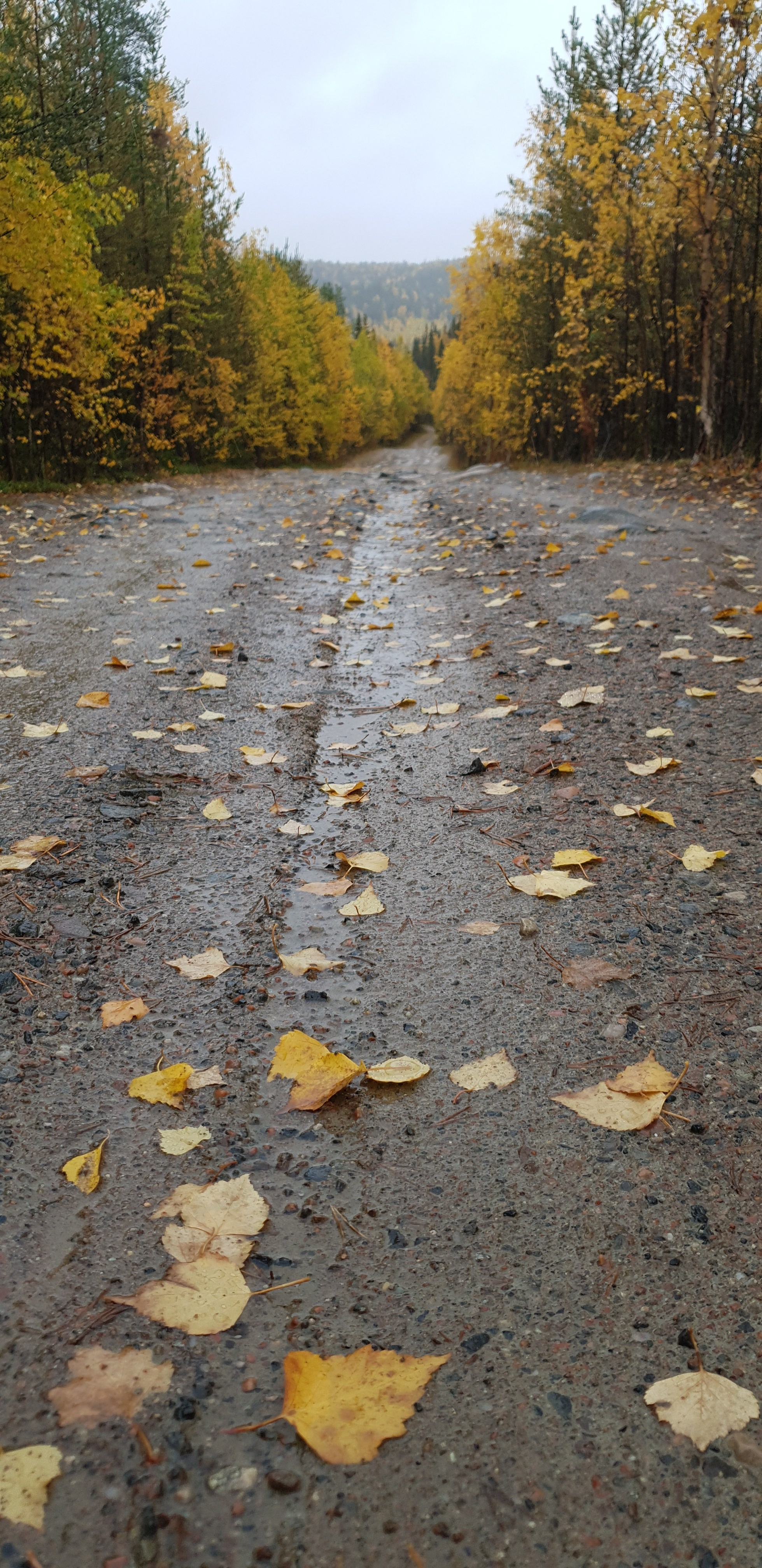 2018 — Незабываемая Карелия, Зашеек. OneSnap