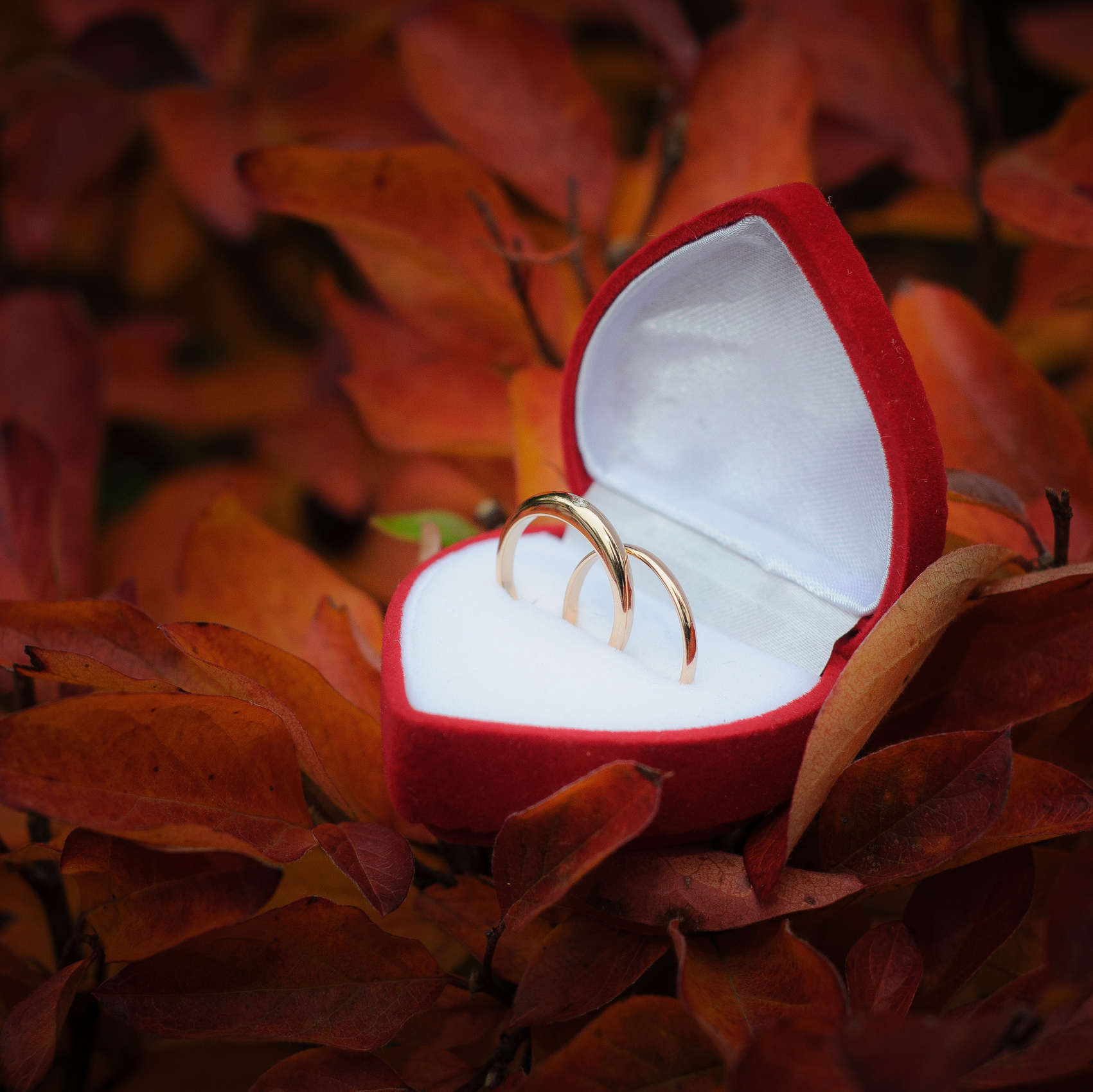 Репортажный и концертный фотограф в Волгограде Павел Панько