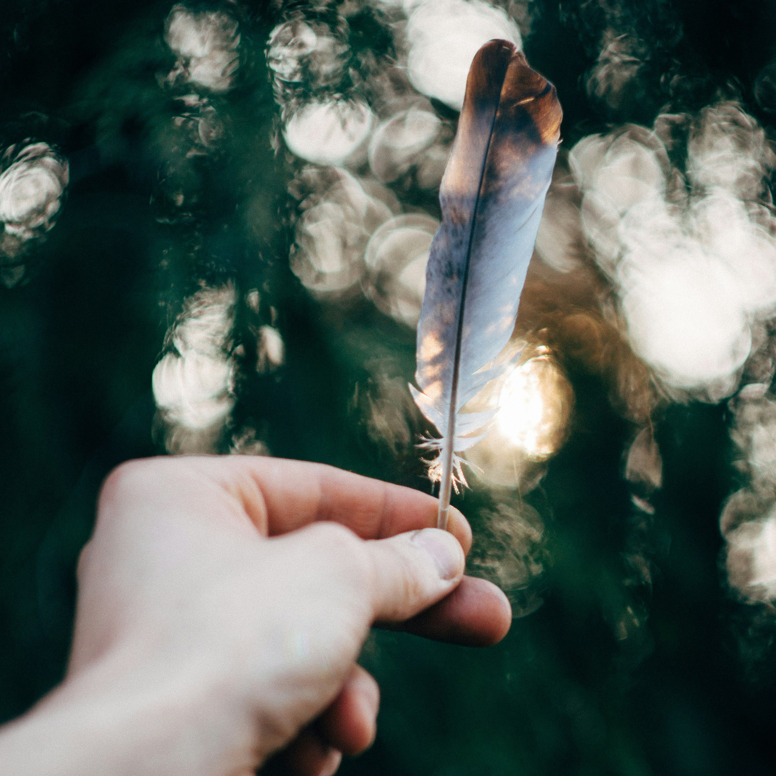 Аромакасание. Творчество, исцеление, эстетика и щепотка волшебства