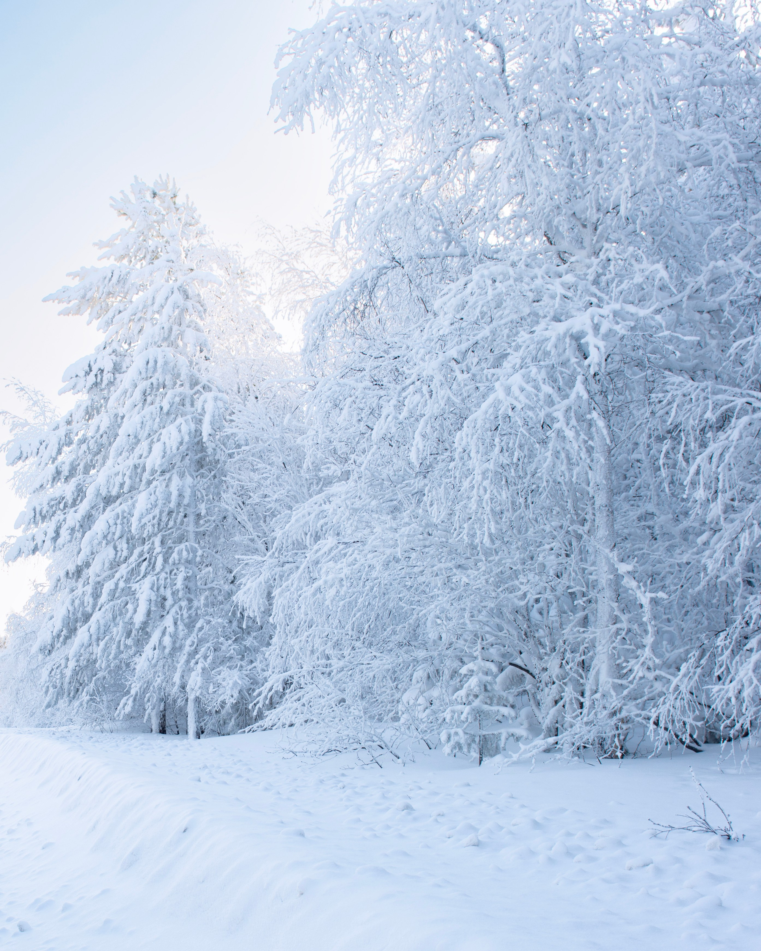 Немного зимы. Профессиональная Ретушь | Ретушер и предметный фотограф Алла Белова