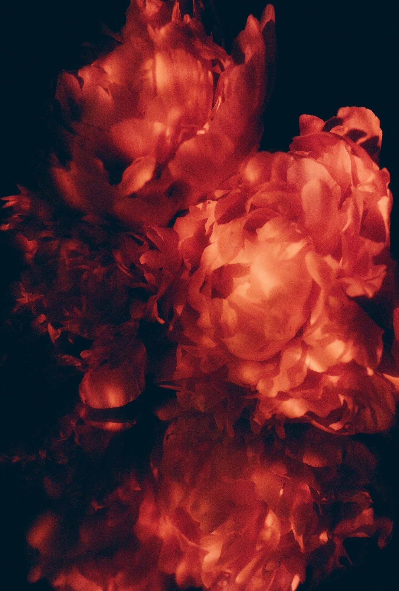 Канзитдинова Мадина. ARTEXPOPHOTO