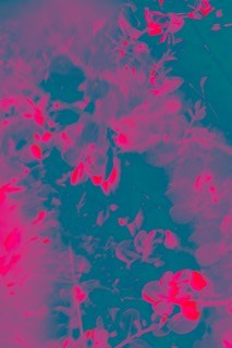 КРАСКИ. ОЛЬГА НЕФФ. Художник. Визуал, Музыка, Поэзия