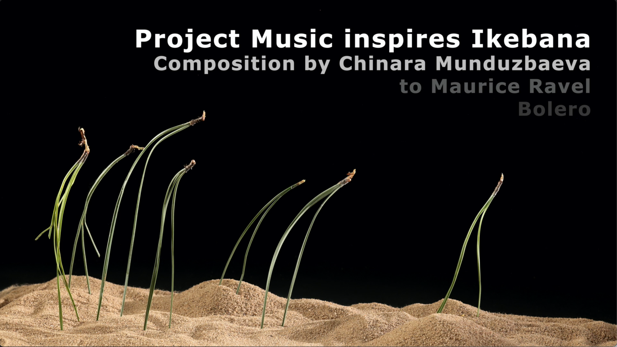 Дополнительные услуги. Попов.фото — Предметная фотостудия в Новой Москве