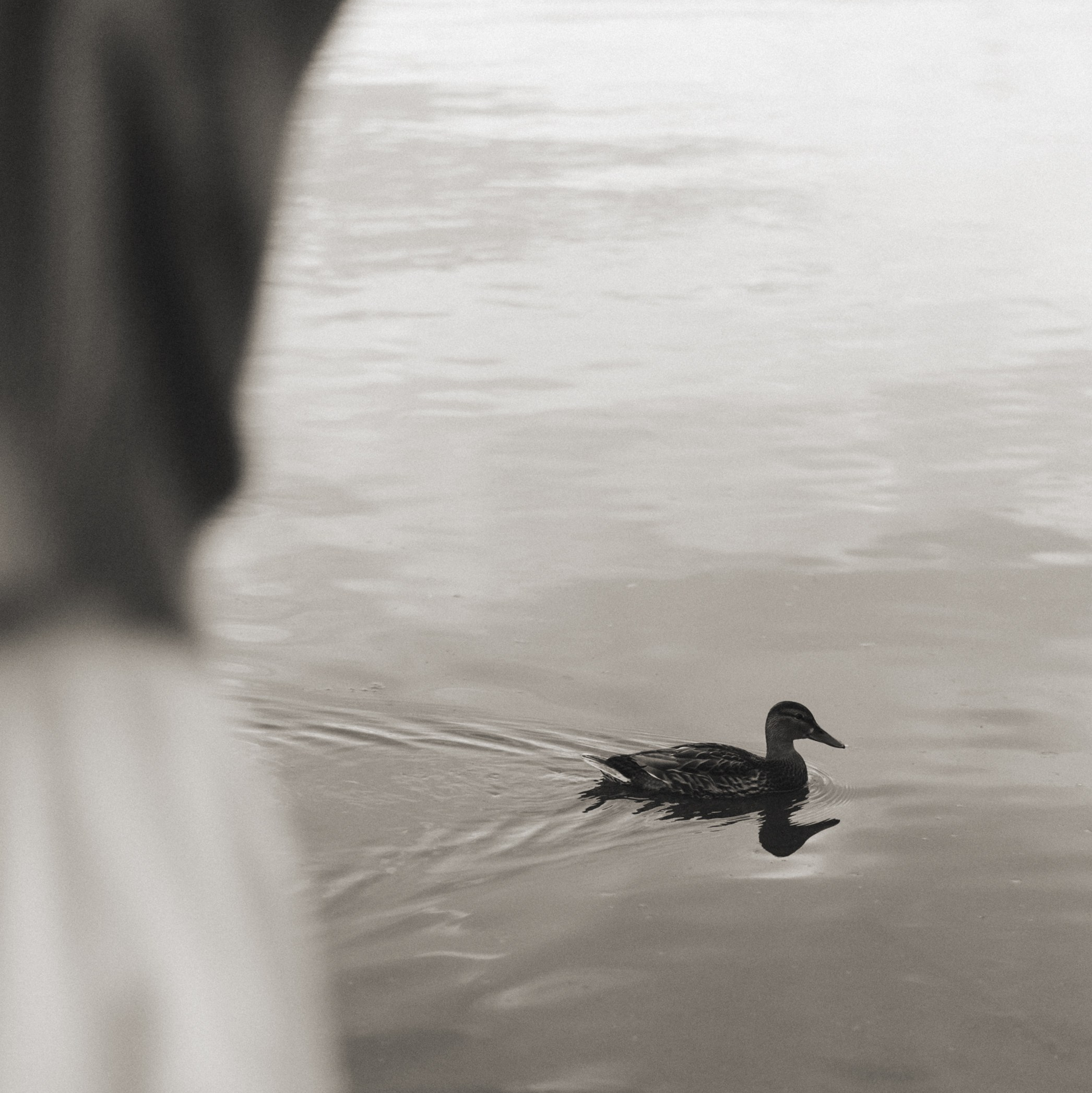 Фотограф Алина Кузнецова