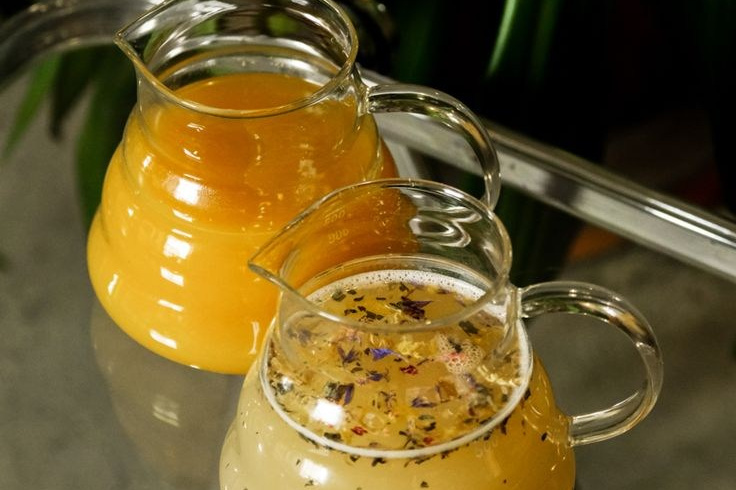 6 Основы & Концентраты