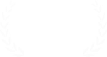 Дипломы и конкурсы. Спортивный фотограф Кемерово