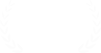 Дипломы и конкурсы. Спортивный фотограф Кемерово