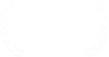 Дипломы и конкурсы. Спортивный фотограф Кемерово