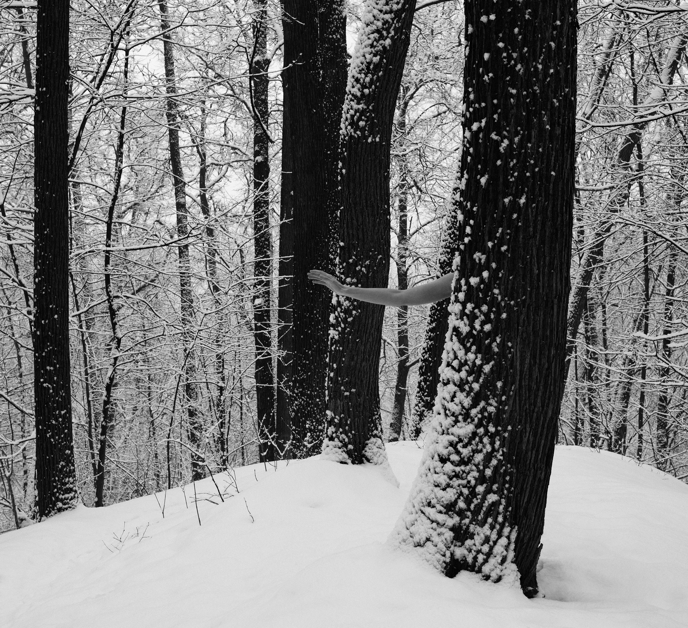 Работы. Портретный фотограф в Москве Андрей Троицкий