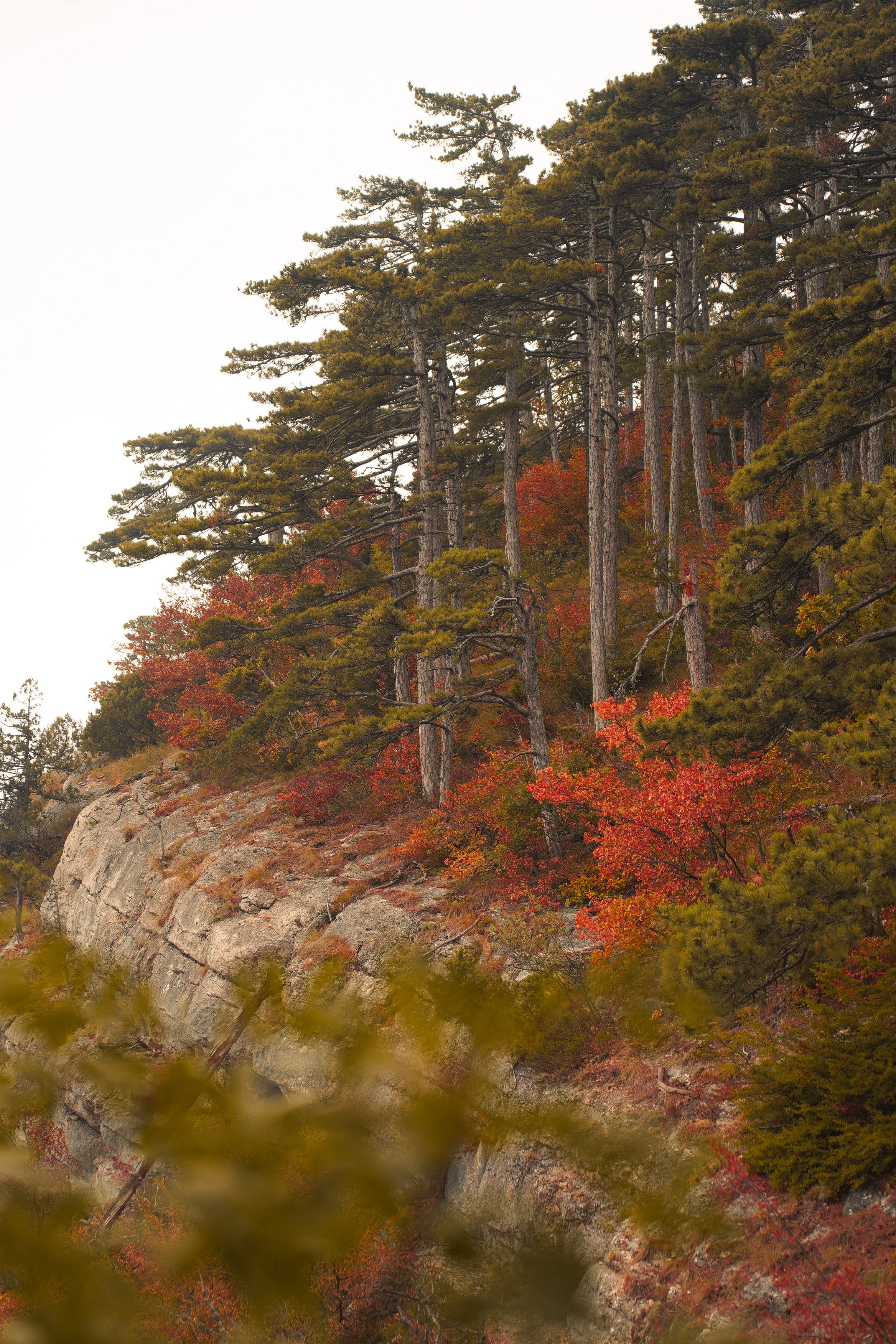 Боткинская тропа. Фотограф из Москвы — DASHA NOVA | Авторская фотография в разных жанрах