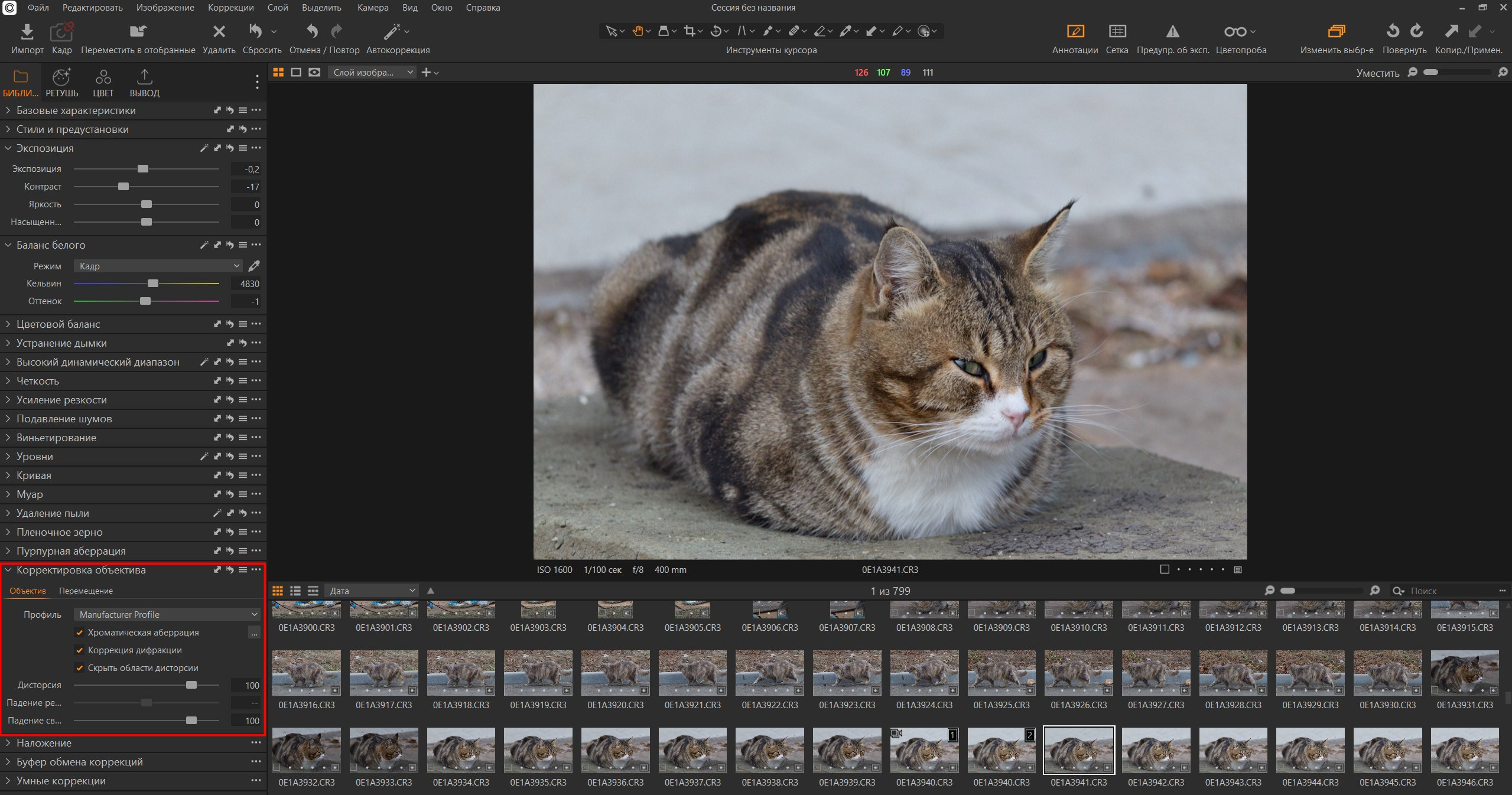 Применение Manufacturer Profile в Capture One (профиля от разработчика оптики) на примере фото кота и объектива Canon RF 100-400mm