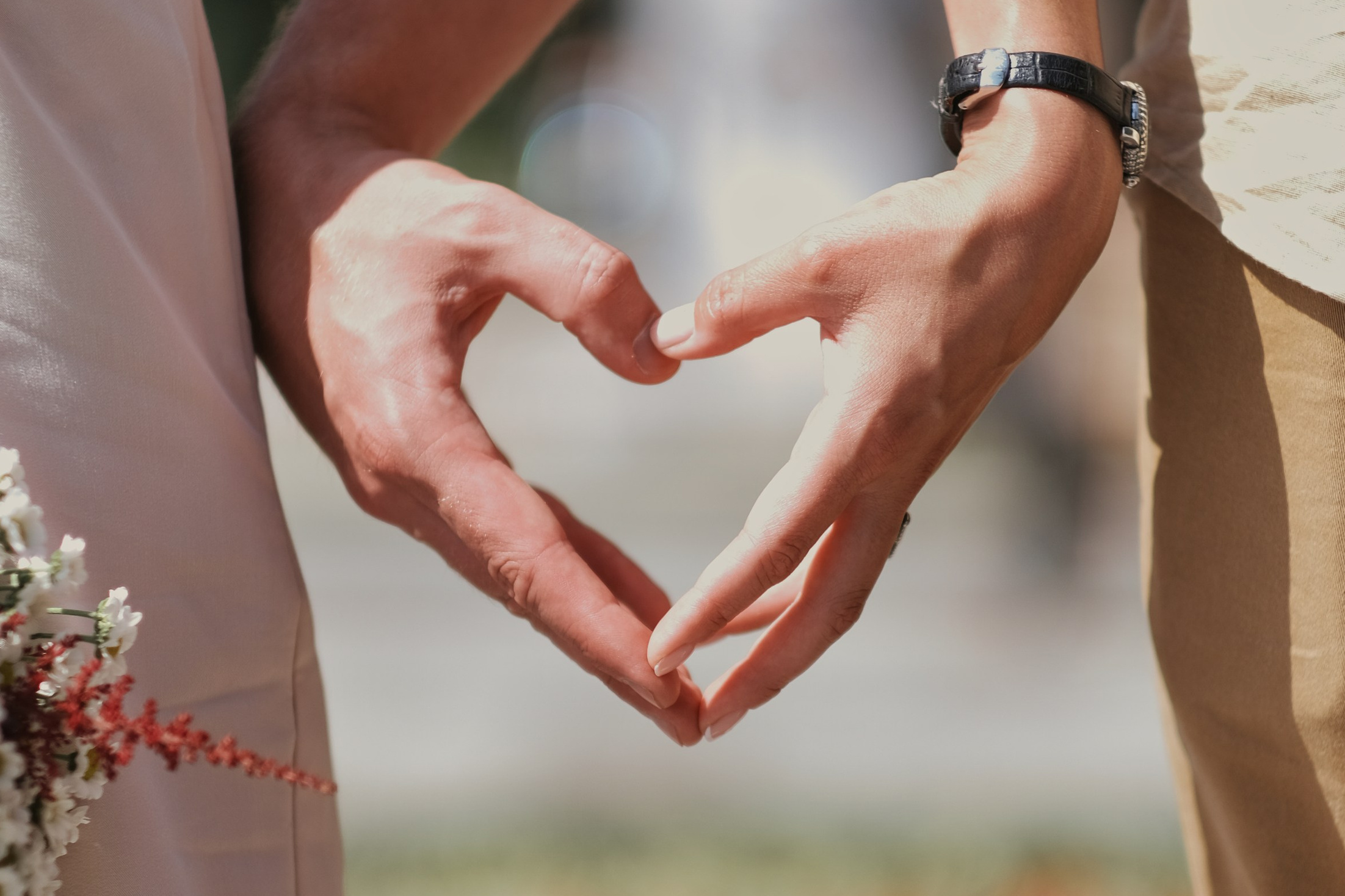 Услуги. Моя высокая любовь  — в каждом кадре