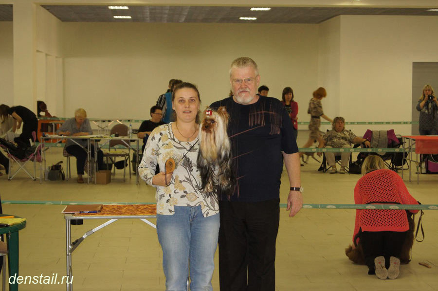 2014 г Результаты выставок. Питомник Йоркширских терьеров Дэнстайл в Санкт-Петербурге заводчик Тих