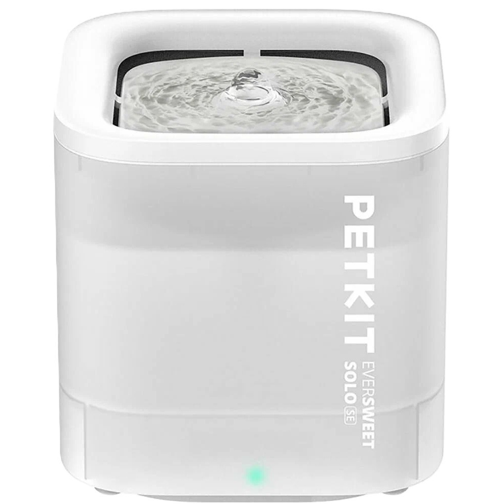 Котёнок американской бурмы. Las Burmas — питомник американской бурмы традиционных линий