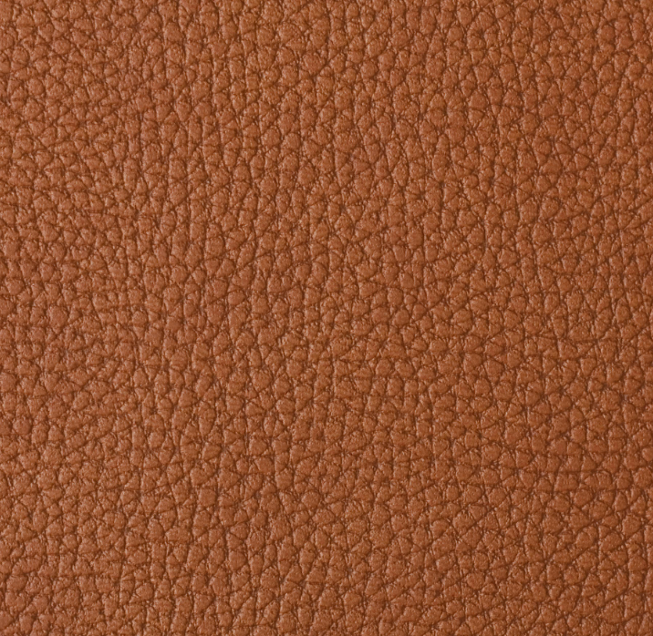 Basic, техн. Фотограф Ольга Молева