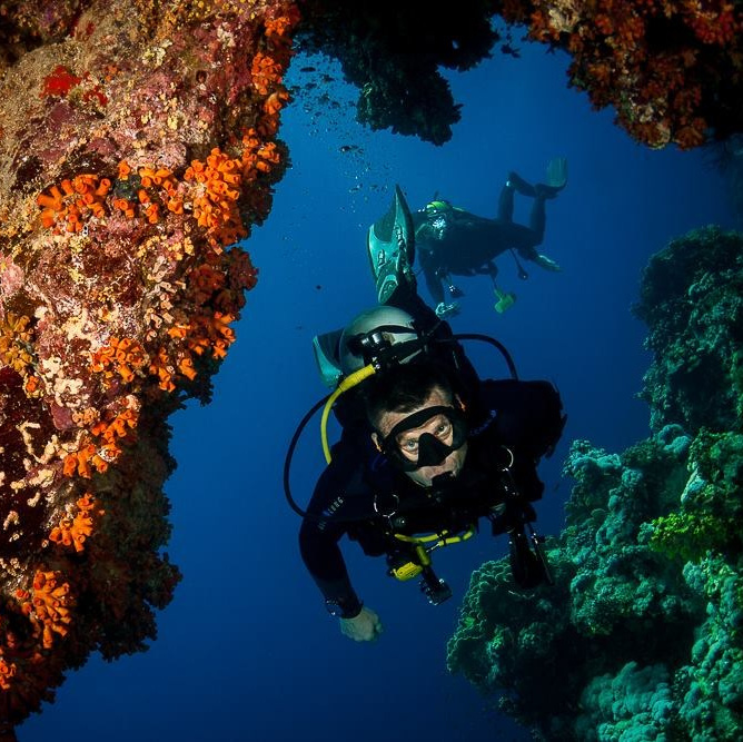 Организация дайвинг-туров и путешествия из Минска