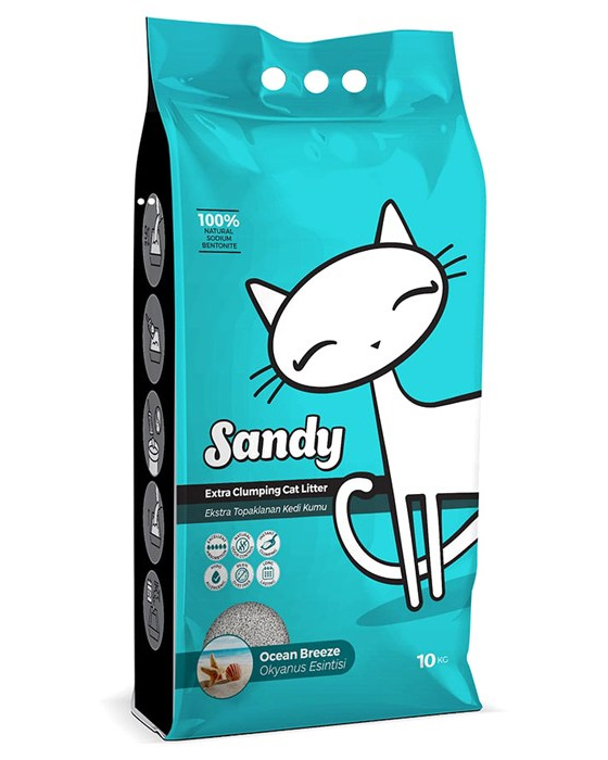 Котёнок американской бурмы. Las Burmas — питомник американской бурмы традиционных линий