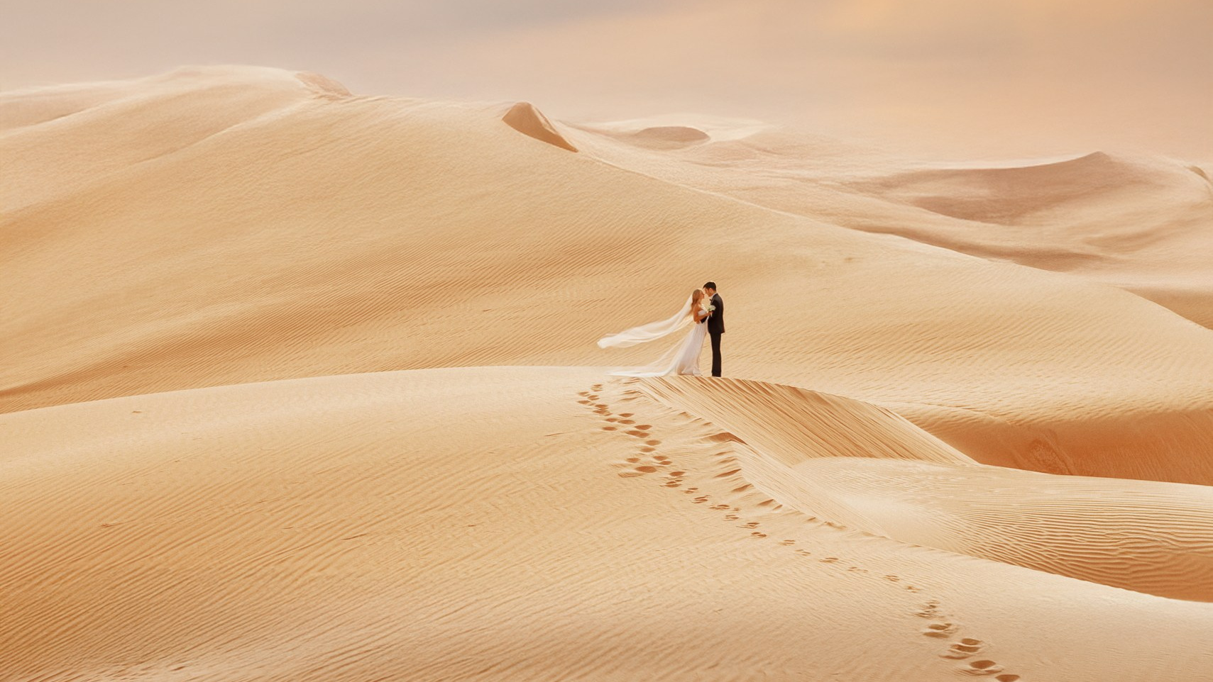 Стоимость. Фотограф ОАЭ