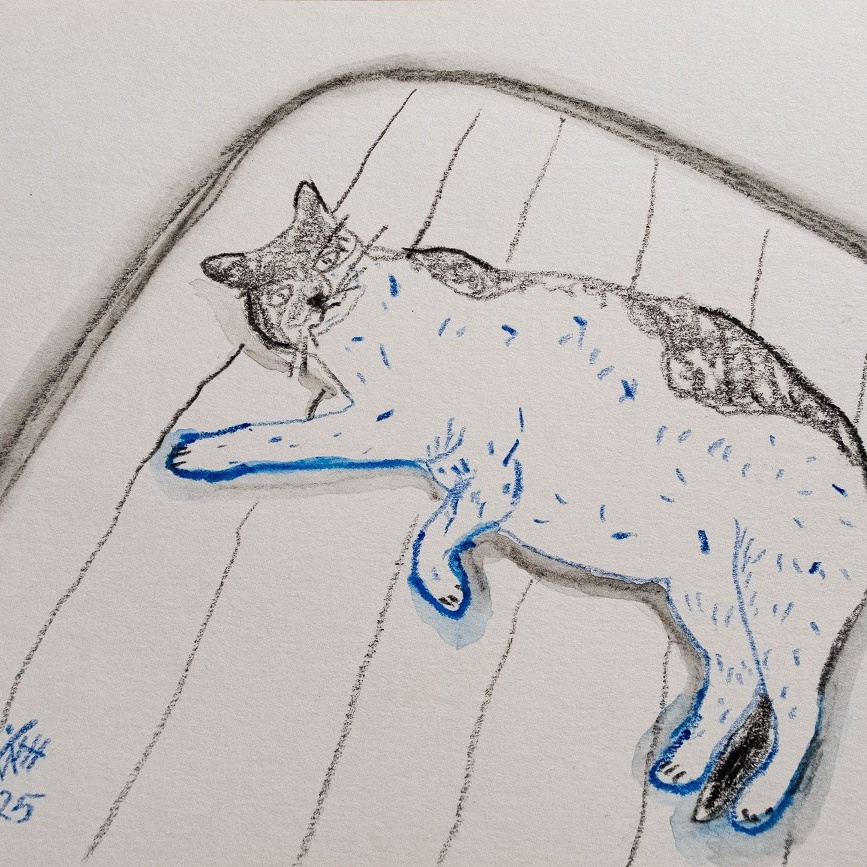 Графика (рисунки, наброски). Художник, фотограф Ирина Тен